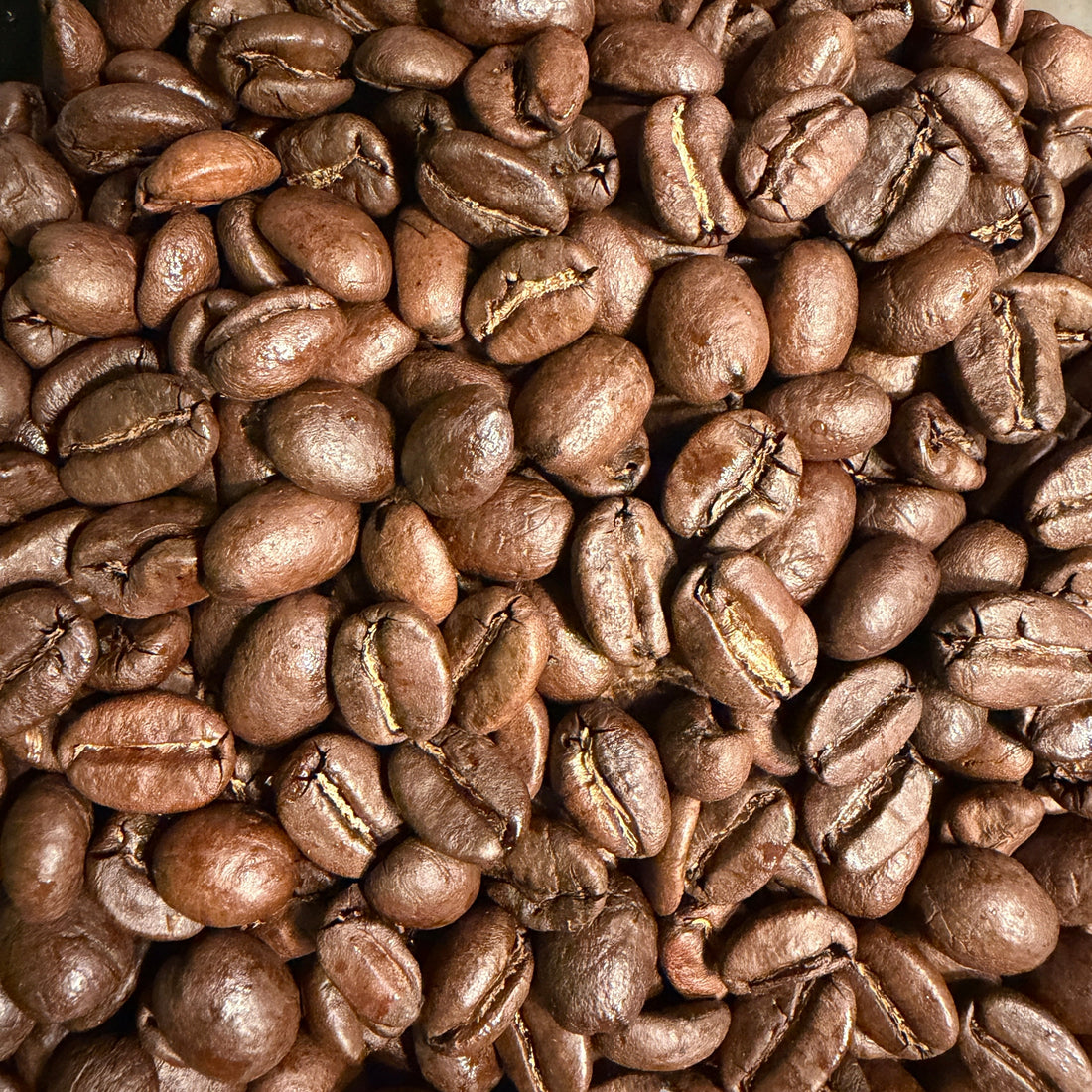 Taking the 1st step!